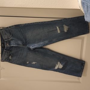 Express Dad Jean High Rise Jeans